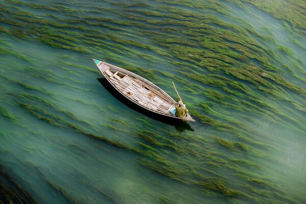 صورة بنغلادش، للمصور كازي ام دي. جاهيرول إسلام، التي وصلت إلى نهائي مسابقة التصوير التاريخي لعام 2019 - سبوتنيك عربي