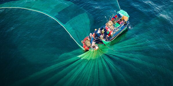 صورة شبكات الرقص للمصور الفيتنامي ذاين نغوين نغوس، التي دخلت في توب-50 في فئة هاوي - بيئة البناء في مسابقة ذي إبسون بانو الدولية لعام 2019 - سبوتنيك عربي