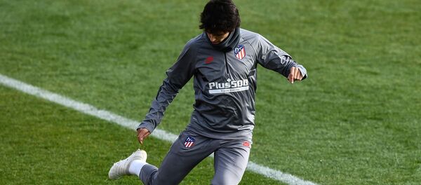 جواو فيليكس - سبوتنيك عربي