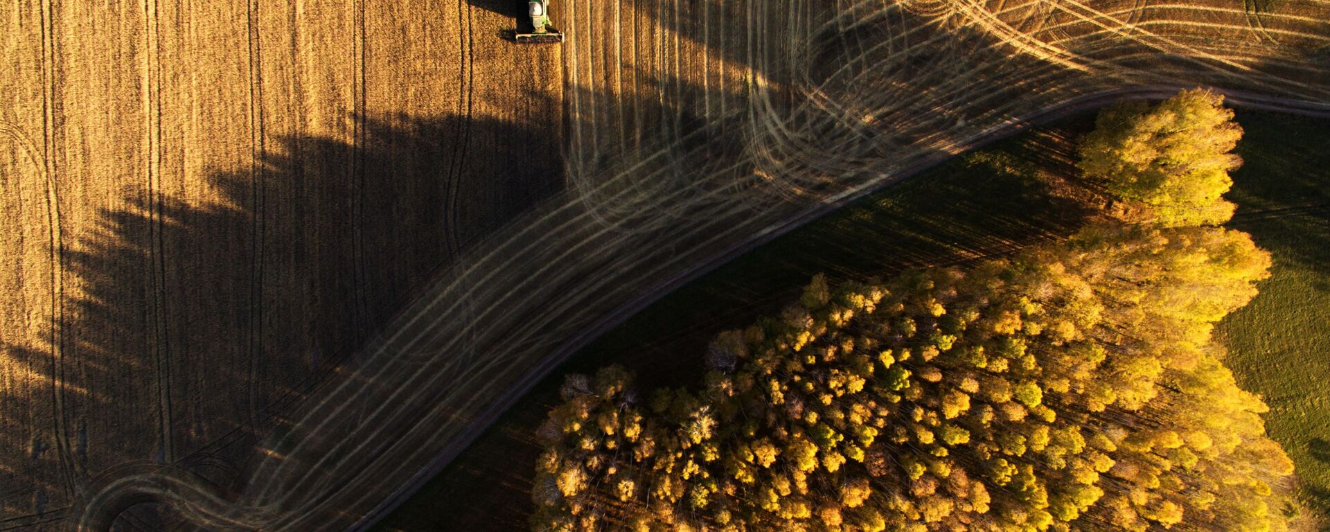 حصاد الحبوب في حقول بوسيفنينسكايا بحي تشيريبانوفسكي في منطقة نوفوسيبيرسك الروسية - سبوتنيك عربي, 1920, 03.03.2023