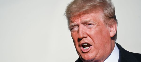 الرئيس الأمريكي دونالد ترامب الرئيس الأمريكي دونالد ترامب - سبوتنيك عربي