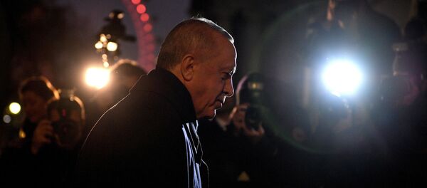 أردوغان في لندن - سبوتنيك عربي