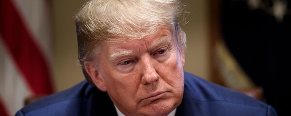 الرئيس الأمريكي دونالد ترامب - سبوتنيك عربي