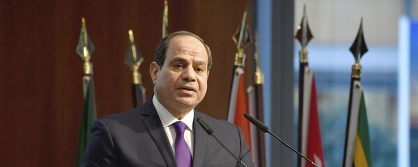 الرئيس المصري عبد الفتاح السيسي - سبوتنيك عربي