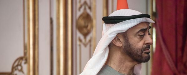 ولي عهد أبو ظبي الشيخ محمد بن زايد - سبوتنيك عربي