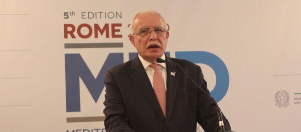 وزير الخارجية الفلسطيني، رياض المالكي - سبوتنيك عربي