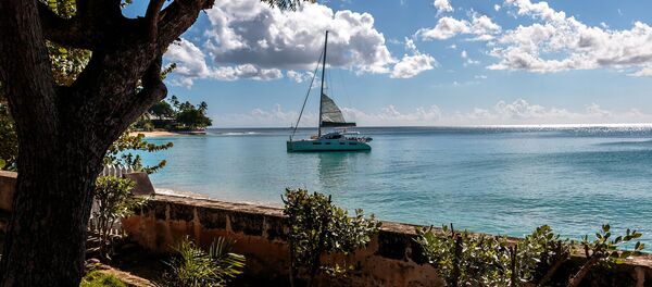 جزيرة باربادوس جزيرة باربادوس - سبوتنيك عربي