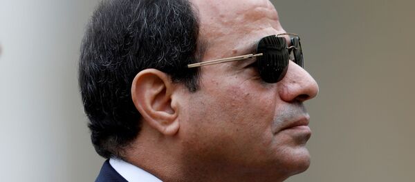 الرئيس المصري عبد الفتاح السيسي - سبوتنيك عربي