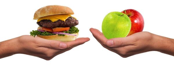  الأكل الصحي، إنقاص الوزن، الأكل الدسم، زيادة الوزن، رياضة - سبوتنيك عربي