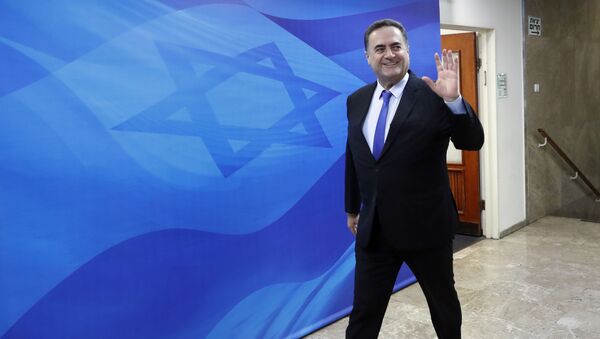 وزير الخارجية بحكومة تسيير الأعمال الإسرائيلية، إسرائيل كاتس - سبوتنيك عربي