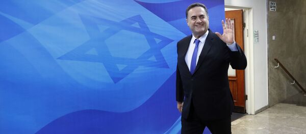 وزير الخارجية بحكومة تسيير الأعمال الإسرائيلية، إسرائيل كاتس - سبوتنيك عربي