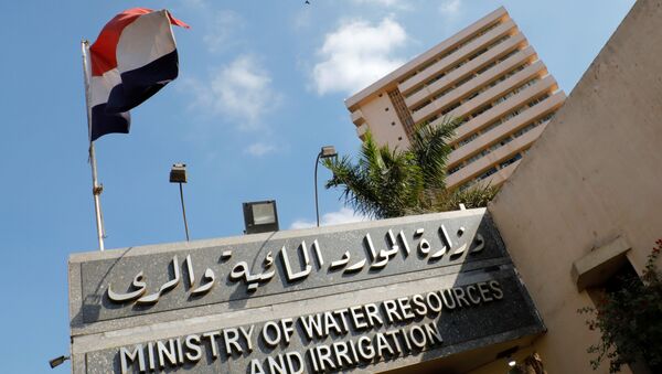 وزارة الموارد المائية والري - مصر - سبوتنيك عربي