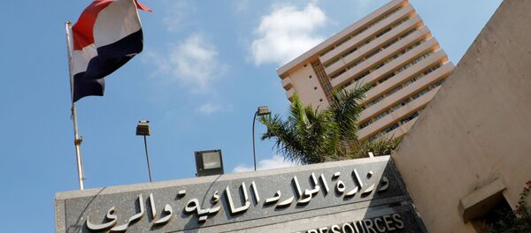 وزارة الموارد المائية والري - مصر - سبوتنيك عربي