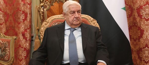 وزير الخاريجة السوري وليد المعلم، 23 ديسمبر 2019 - سبوتنيك عربي