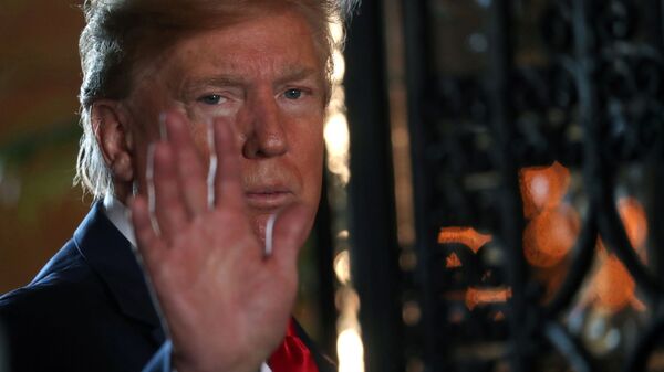 الرئيس الأمريكي دونالد ترامب - سبوتنيك عربي