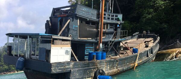 قارب صيد - سبوتنيك عربي