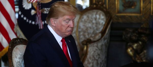 الرئيس الأمريكي دونالد ترامب - سبوتنيك عربي