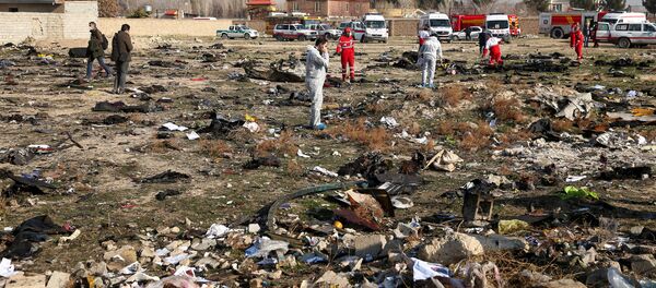 الطائرة الأوكرنية المنكوبة في إيران - سبوتنيك عربي