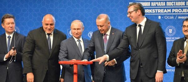 تدشين التيار التركي بحضور الرئيسين التركي والروسي - سبوتنيك عربي