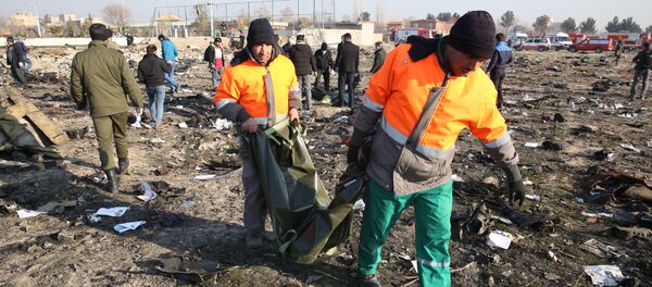 حطام الطائرة المنكوبة من طراز بوينغ 737 في طهران، إيران 8 يناير 2020 - سبوتنيك عربي