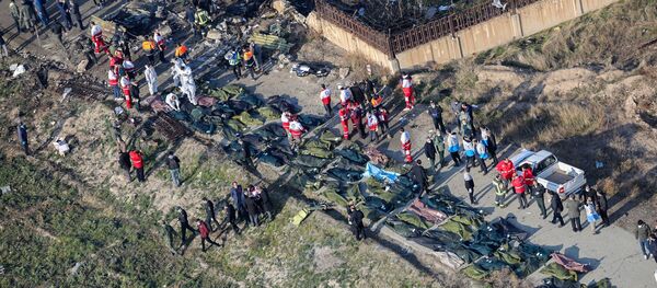 حطام الطائرة المنكوبة من طراز بوينغ 737 في طهران، إيران 8 يناير 2020 - سبوتنيك عربي