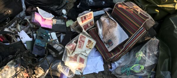 حطام الطائرة المنكوبة من طراز بوينغ 737 في طهران، إيران 8 يناير 2020 - سبوتنيك عربي