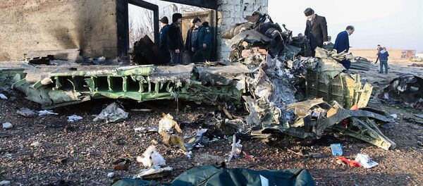 حطام الطائرة المنكوبة من طراز بوينغ 737 في طهران، إيران 8 يناير 2020 - سبوتنيك عربي