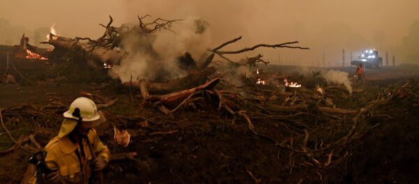 حرائق غابات أستراليا، يناير 2020 - سبوتنيك عربي