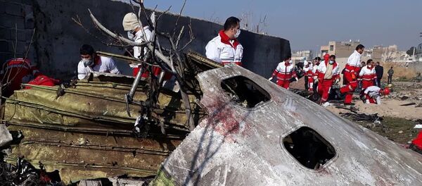  حطام الطائرة المنكوبة من طراز بوينغ 737 في طهران، إيران 8 يناير 2020 - سبوتنيك عربي