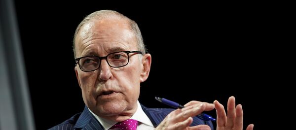 مستشار البيت الأبيض الاقتصادي لاري كودلو - سبوتنيك عربي