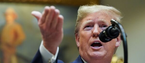 الرئيس الأمريكي دونالد ترامب - سبوتنيك عربي