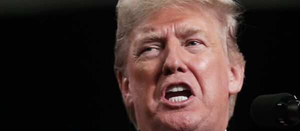 الرئيس الأمريكي دونالد ترامب - سبوتنيك عربي