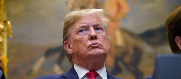 الرئيس الأمريكي دونالد ترامب - سبوتنيك عربي