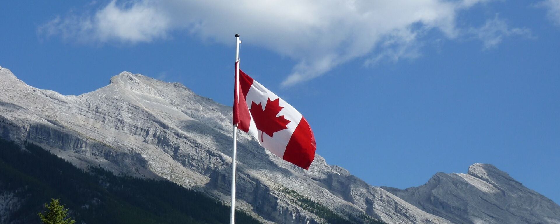 العلم الكندي - سبوتنيك عربي, 1920, 15.02.2025