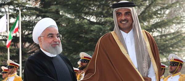 الرئيس الإيراني حسن روحاني يستقبل أمير قطر الشيخ تميم بن حمد في طهران الرئيس الإيراني حسن روحاني يستقبل أمير قطر الشيخ تميم بن حمد في طهران - سبوتنيك عربي