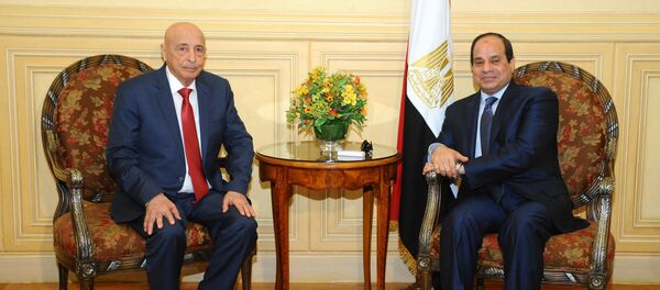 الرئيس المصري عبد الفتاح السيسي ورئيس مجلس النواب الليبي المستشار عقيلة صالح الرئيس المصري عبد الفتاح السيسي ورئيس مجلس النواب الليبي المستشار عقيلة صالح - سبوتنيك عربي