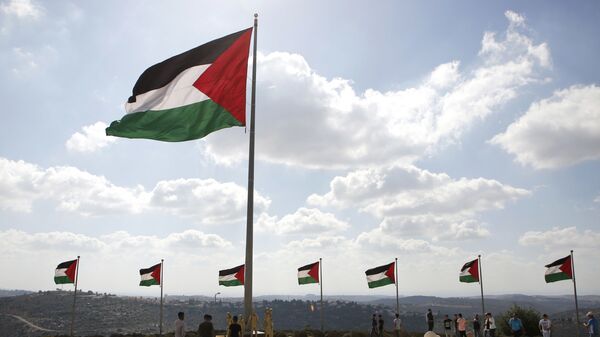 علم فلسطين في مدينة روابي، الضفة الغربية، فلسطين، أرشيف 2017 - سبوتنيك عربي