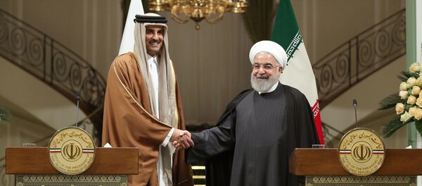 الرئيس الإيراني حسن روحاني يصافح أمير قطر الشيخ تميم بن حمد بن خليفة آل ثاني خلال مؤتمر صحفي في طهران الرئيس الإيراني حسن روحاني يصافح أمير قطر الشيخ تميم بن حمد بن خليفة آل ثاني خلال مؤتمر صحفي في طهران - سبوتنيك عربي