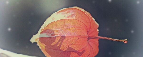 إجهاض طفل - سبوتنيك عربي