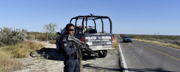 الشرطة المكسيكية - سبوتنيك عربي