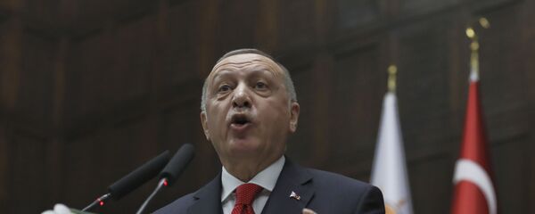 الرئس التركي رجب طيب أردوغان - سبوتنيك عربي