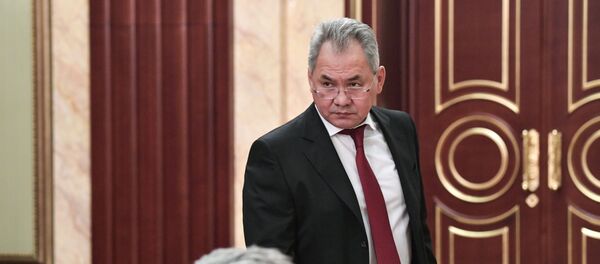 سيرغي شويغو - سبوتنيك عربي