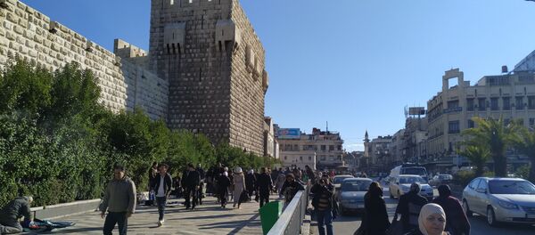 دمشق، سوريا 20 يناير 2020 - سبوتنيك عربي