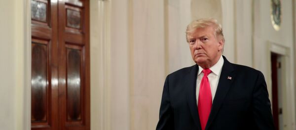 الرئيس الأمريكي دونالد ترامب - سبوتنيك عربي