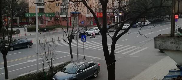 مدينة ووهان، انتشار فيروس كورونا في الصين 28 يناير 2020 - سبوتنيك عربي