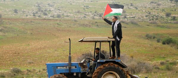 متظاهر يحمل العلم الفلسطيني يركب جرارًا خلال مظاهرة احتجاج على خطة الرئيس الأمريكي دونالد ترامب للسلام في الشرق الأوسط في وادي الأردن بالضفة الغربية التي تحتلها إسرائيل - سبوتنيك عربي