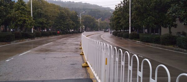 مدينة ووهان، انتشار فيروس كورونا، الصين 25 يناير 2020 مدينة ووهان، انتشار فيروس كورونا، الصين 25 يناير 2020 - سبوتنيك عربي