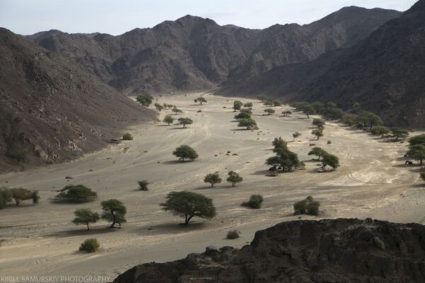 قريبا... افتتاح الموسم الثالث من الأعمال الأثرية بموقع دراهيب في السودان - سبوتنيك عربي