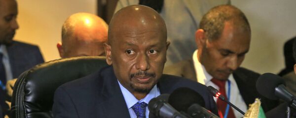 وزير المياه والطاقة والري الإثيوبي، سيليشي بيكيلي - سبوتنيك عربي