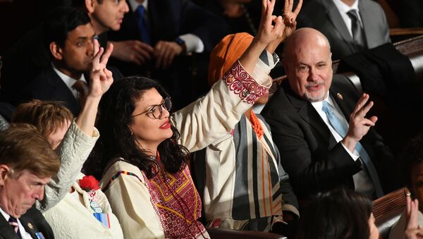 عضو الحزب الديمقراطي في الكونغرس الأمريكي، رشيدة طليب 4 فبراير 2020 - سبوتنيك عربي